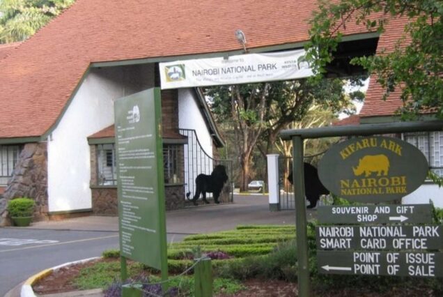 nairobi national park tour by bravo