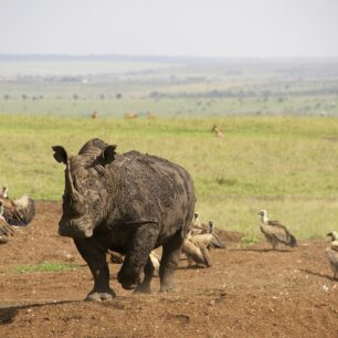 Kenya