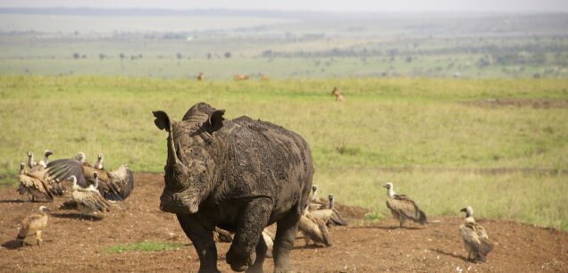 Kenya